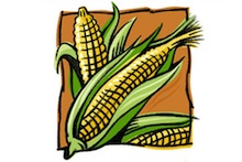 Horticulture Society corn sale graphic